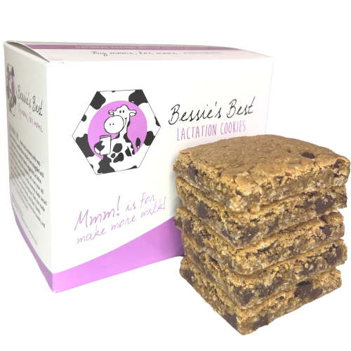 Bessie’s Best Lactation Cookies - 1 Dozen - Oatmeal Peanut Butter Chocolate Chip - Lactation Support & Breast Milk Boosting Lactation Snacks