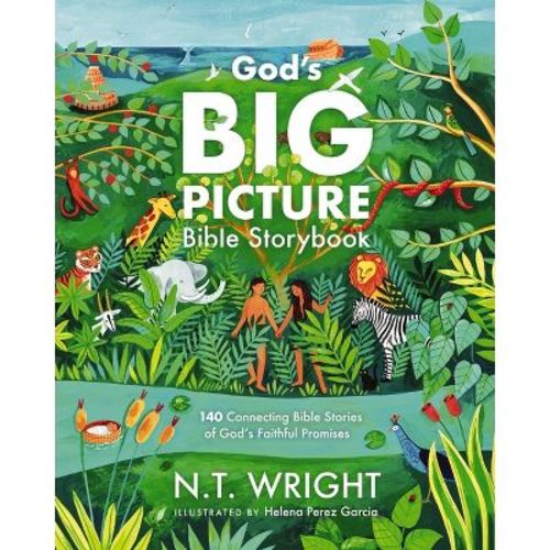 God's Big Picture Bible Storybook - (God's Big Picture Bible Stories) by N T Wright (Hardcover)