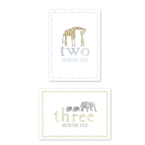 Zoo Baby Age Milestone Cards