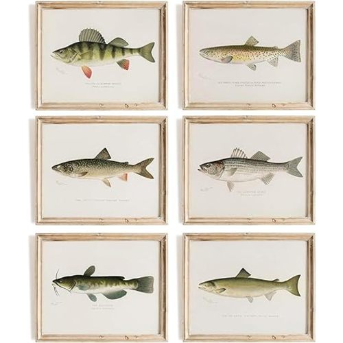 Zaiphany Fly Fishing Pictures Wall Decor,Fish Art Print Wall Decor, Fish Pictures Nursery Decor,Vintage Fishing Room Decor for Boys Room,Fish Pictures Wall Decor