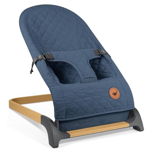ANGELBLISS Baby Bouncer, Portable Bouncer Seat for Babies, Infants Bouncy Seat with Cotton Fabric, Natural Vibrations (Light Blue)
