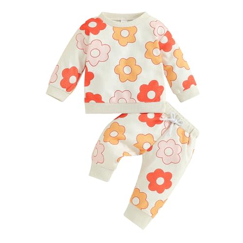 Newborn Infant Baby Girl Clothes Set Sweatshirts Tops Pants Toddler Girl Outfits Gifts 3 6 9 12 18 24 Months