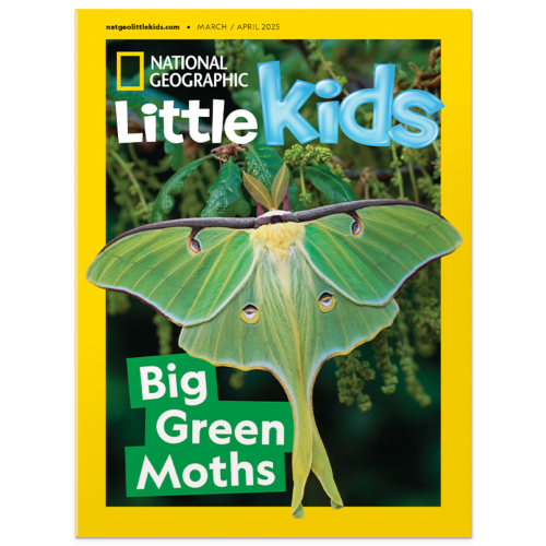 National Geographic Magazine Subscriptions | National Geographic