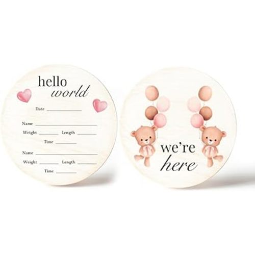 Twin Girls Birth Announcement Sign - Newborn Twins Sign - Twin Girls Baby Announcement