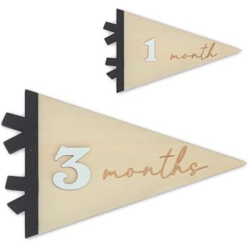 Daisy 3D Baby Monthly Milestone, Wooden Baby Milestone Signs, Monthly Milestone Wood Discs, Baby Milestone Discs (Flag)