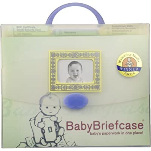 Baby Paperwork Organizer, Mint/Periwinkle