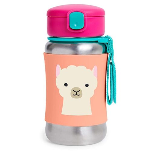 Skip Hop Toddler Sippy Cup