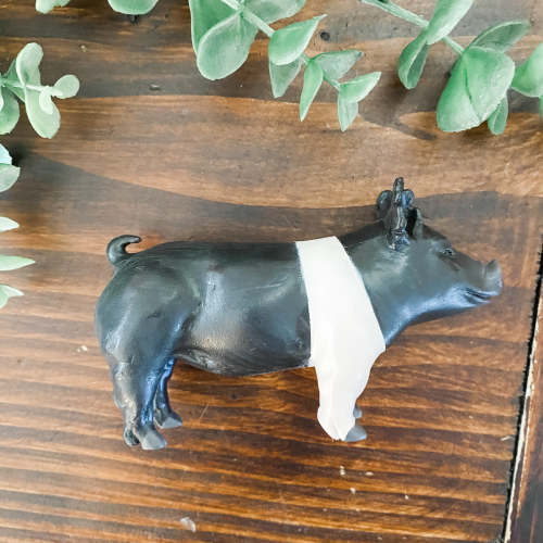 TOY - Champion Hampshire Show Pig