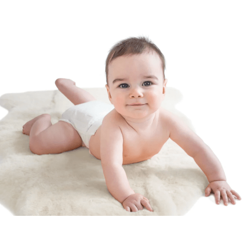 Sheepskin Rug for Babies, 100% Natural, Shorn Lambskin Wool, 2 x 3 Feet, Ivory