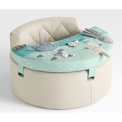 Aquatic Baby Activity Chair