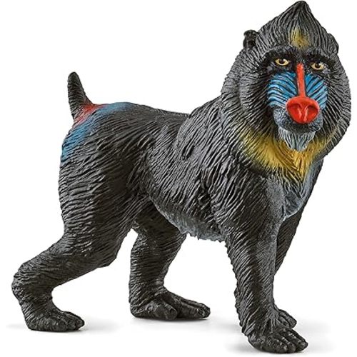 Schleich Wild Life Realistic Mandrill Monkey Figurine - Authentic and Highly Detailed Wild Animal Toy, Durable for Education and Fun Play for Kids, Perfect for Boys and Girls, Ages 3+