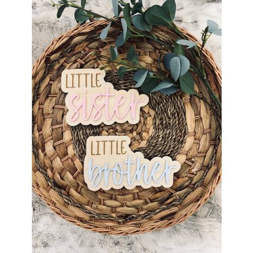 Surprise Gender Reveal Announcement Sign Little Brother Little Sister Hospital Sign Sibling Gender Reveal Photo Prop It's a Boy It's a Girl