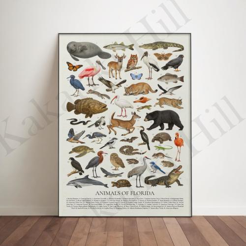 Animals of Florida Poster: Educational Wildlife Identification Chart