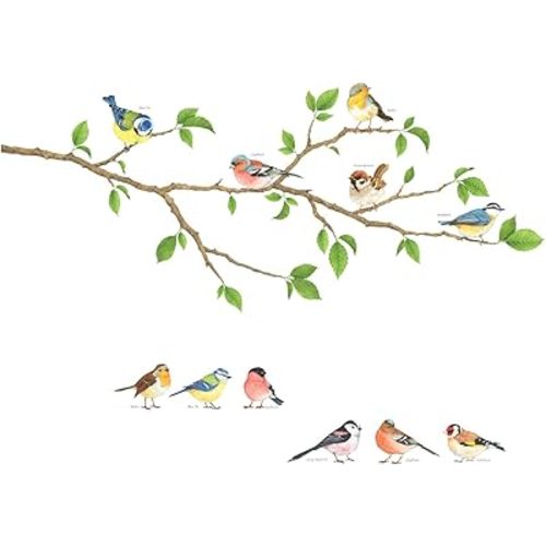 DECOWALL DS4-8036 Garden Birds Kids Wall Stickers Wall Decals Peel and Stick Removable Wall Stickers for Kids Nursery Bedroom Living Room (Small) Decor