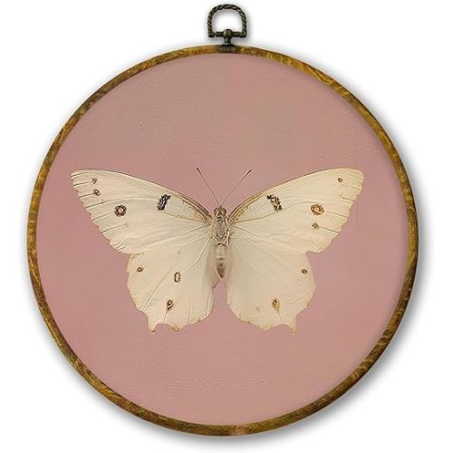 Mcehtle Vintage Butterfly Pink Wall Art Decor, Retro Cottagecore Butterfly Farmhouse Framed Canvas Prints 10x10, Neutral Moody Round Wall Hanging Artwork Decorations for Girls Bedroom Living Room