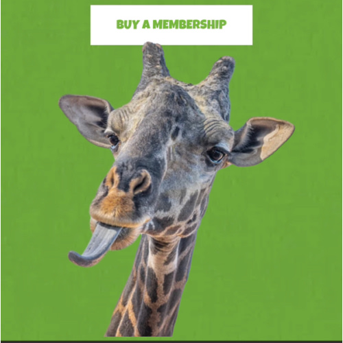 Phoenix Zoo Family Membership for 2026