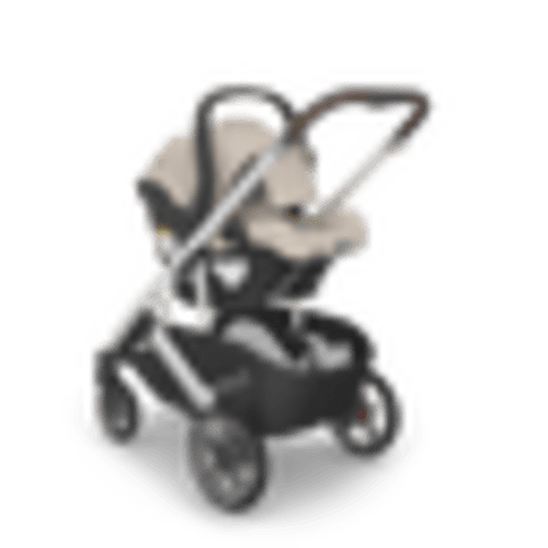 Checkout - Bambi Baby