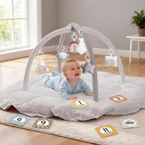 5-in-1 Thick & Plush Baby Play Gym, Baby Play Mats for Floor, Tummy Time Mat with 6 Toys, Convertible Stage-Based Developmental from Babies to Toddlers, Ball Pit, Pet Cushion Cloudico, Grey