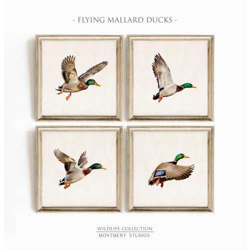Flying Mallard Ducks Wall Art Set of 4, Square Vintage Wildlife Prints for Nursery, Duck Hunting Decor for Hunting Lodge or Cabin, S09