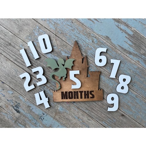 Dragon sign, newborn milestone monthly, monthly milestone markers, year of the dragon, wooden dragon, monthly baby milestone