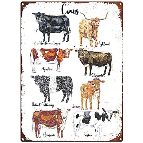 Metal Tin Signs Vintage Metal Sign Letters Cow Breeds Print, Cow Print, Cow Metal Sign, Cattle Breeds, Farm Animals Personalized Metal Signs for Home Decor