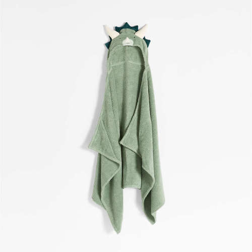 Dinosaur Organic Cotton Hooded Kids Towel