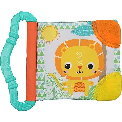 Bright Starts Teethe & Read Soft Book Toy, Ages 3 Months +, Style May Vary