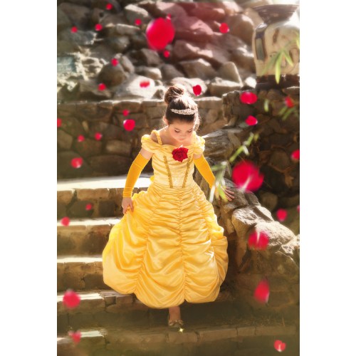 Charlotte Wedding Dresses- Buy Princess Wedding Gown, Charlotte Gown with Gloves Sets