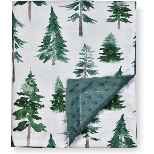 Baby Blanket, Soft Minky Warm Blanket for Boy or Girl, Receiving blanket with Double Layer Dotted Backing for Newborns Nursery Stroller Toddlers Crib Bedding (30 x 40 Inch) Sunflower (Green Pine)