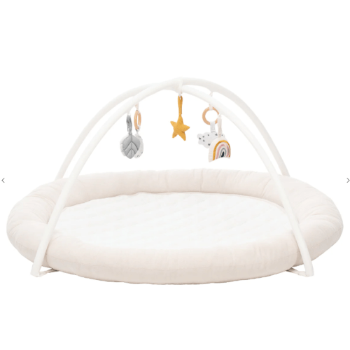 OLLIE – Babybee
