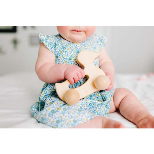 Duck Push Toy
