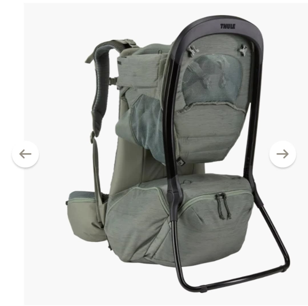 Thule Sapling Child Carrier | REI Co-op