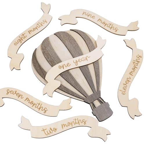 Monthly Baby Milestone Signs - Baby Monthly Milestone Wooden Circles for 1-12 Month Photos & Gender Neutral Announcement Cards (Air Balloon)