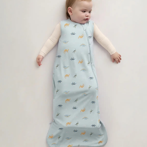 Bamboo Sleep Bag 1.0 TOG in Baby Blue Little Dino