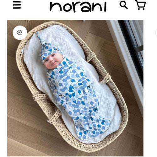 Norani Baby Snugababe Sleep Pod with Arm Inserts - Blue Balloons