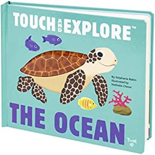 The Ocean (Touch and Explore) (Touch and Explore, 1)