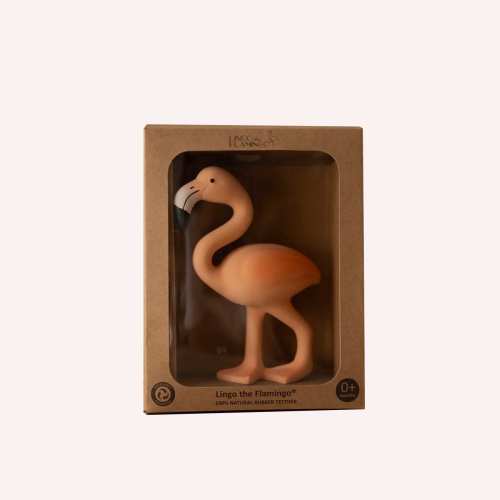Lingo the Flamingo