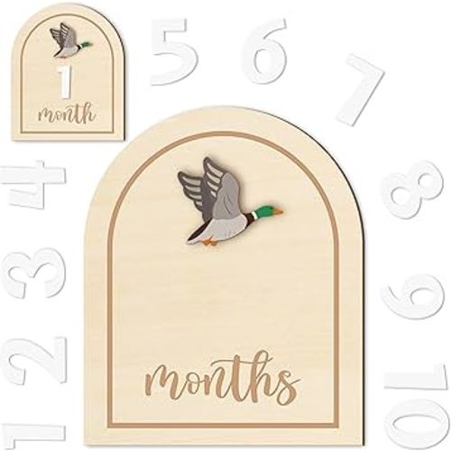 R HORSE Baby Monthly Milestone Cards, 14Pcs 3D Mallard Duck Wooden Monthly Milestone Discs with Number Cards, Newborn Months Signs Announcement Baby Shower Photo Props Gifts for Girls Boys