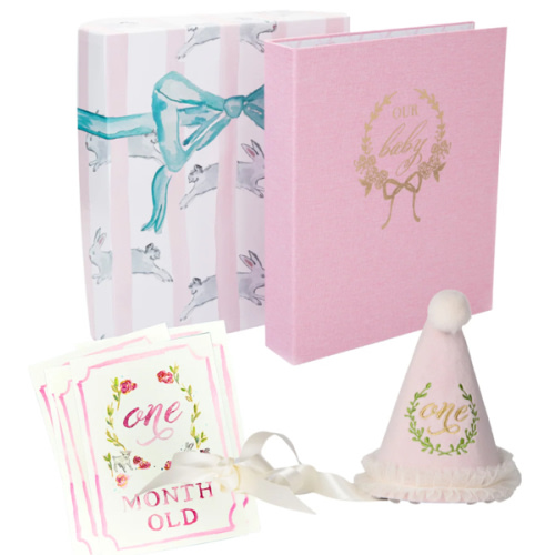 Baby's First Year Bundle | Danrie