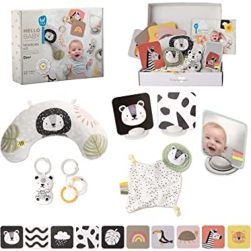 Taf Toys Newborn Developmental Gift Set with 12 Toys Tummy Time Pillow Flash Cards Rattles Baby-Safe Mirror Blankie Best for Newborns & Up Development Montessori for Infant Toys 0-6 Months Babies
