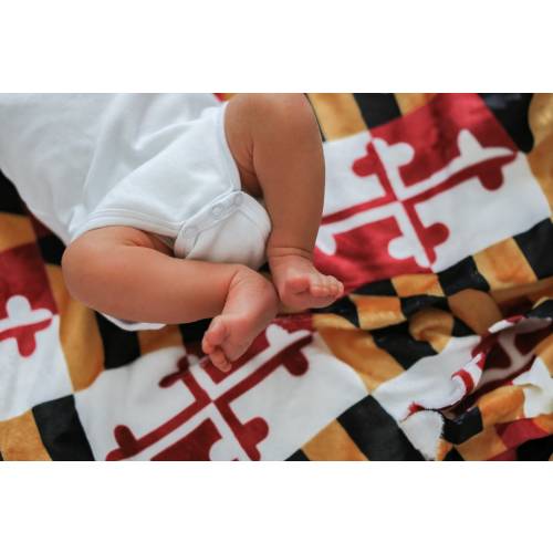 Maryland Baby Blanket, Maryland Baby, Nursery, Maryland Home Decor, Maryland, Gift, Housewarming, Baby, Baby Shower, Newborn, Gift for Baby