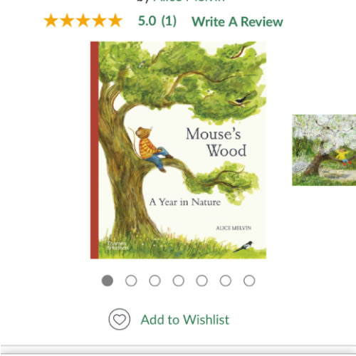 Mouse's Wood: A Year in Nature by Alice Melvin, Hardcover | Barnes & Noble®