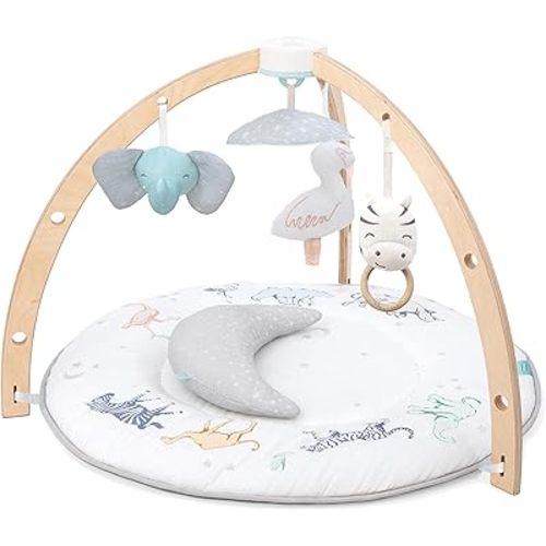 aden + anais Play and Discover Baby Activity Gym – 30+ Developmental Benefits - 3 Attachable Toys + Plush Tummy Time Pillow – 100% Cotton Muslin – Machine Washable