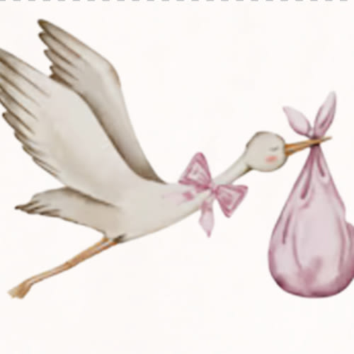 Baby Essentials Fund