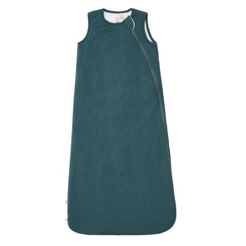 Kyte Baby Sleep Bag 1.0 Tog In Sage 6-18 Wearable Blanket