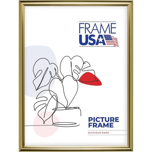 COLOR: Gold | Frame USA 22x28 Picture Frame
