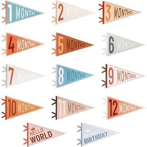 14 Pcs Baby Monthly Stage, Babys Felt Pennant Stage Signs Monthly, Felt Pennant Flags for Girl & Boy, Month Signs for Newborn Photos and First Year Birthday Baby Shower Decor