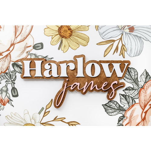 Custom 3D Outline Name Sign, Layered Names, Boho Nursery Name Sign, Laser Cut Name Signs, Baby Shower Gift, Outline Name Sign, Logo Sign