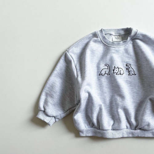 Long Sleeved Rendezvous Dino Sweater (6-9)