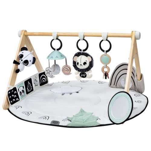 Tiny Love Luxe Developmental Gymini - Black & White Decor Collection